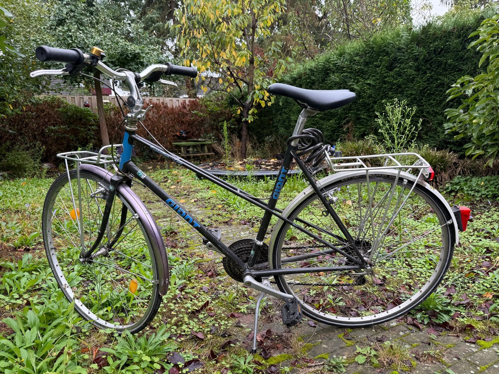 Giant Expeditions Lady fiets met versnellingen, Ophalen, Velgrem, Versnellingen, Giant