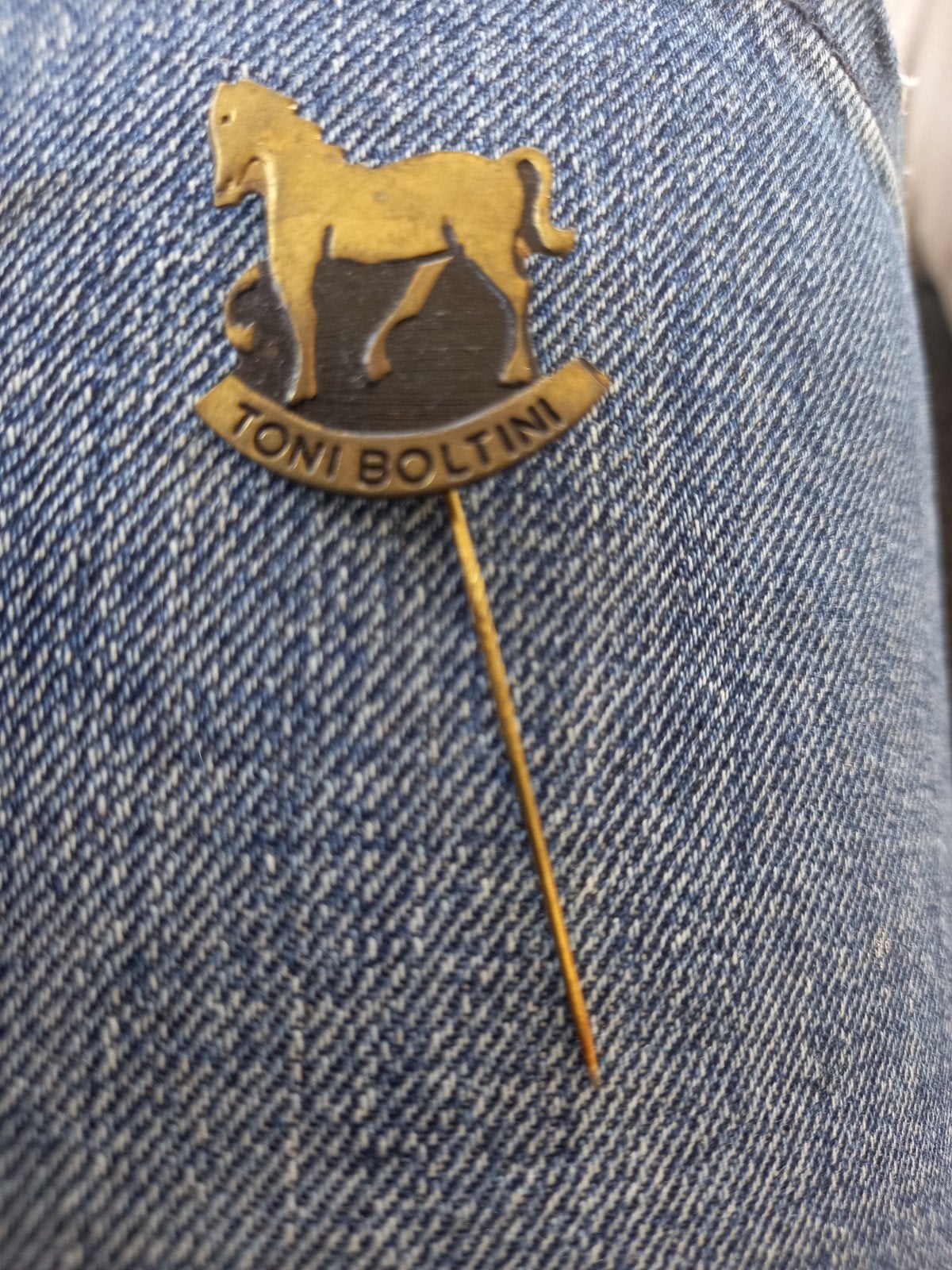 Speldje Toni Boltini, Ophalen of Verzenden, Zo goed als nieuw, Overige onderwerpen