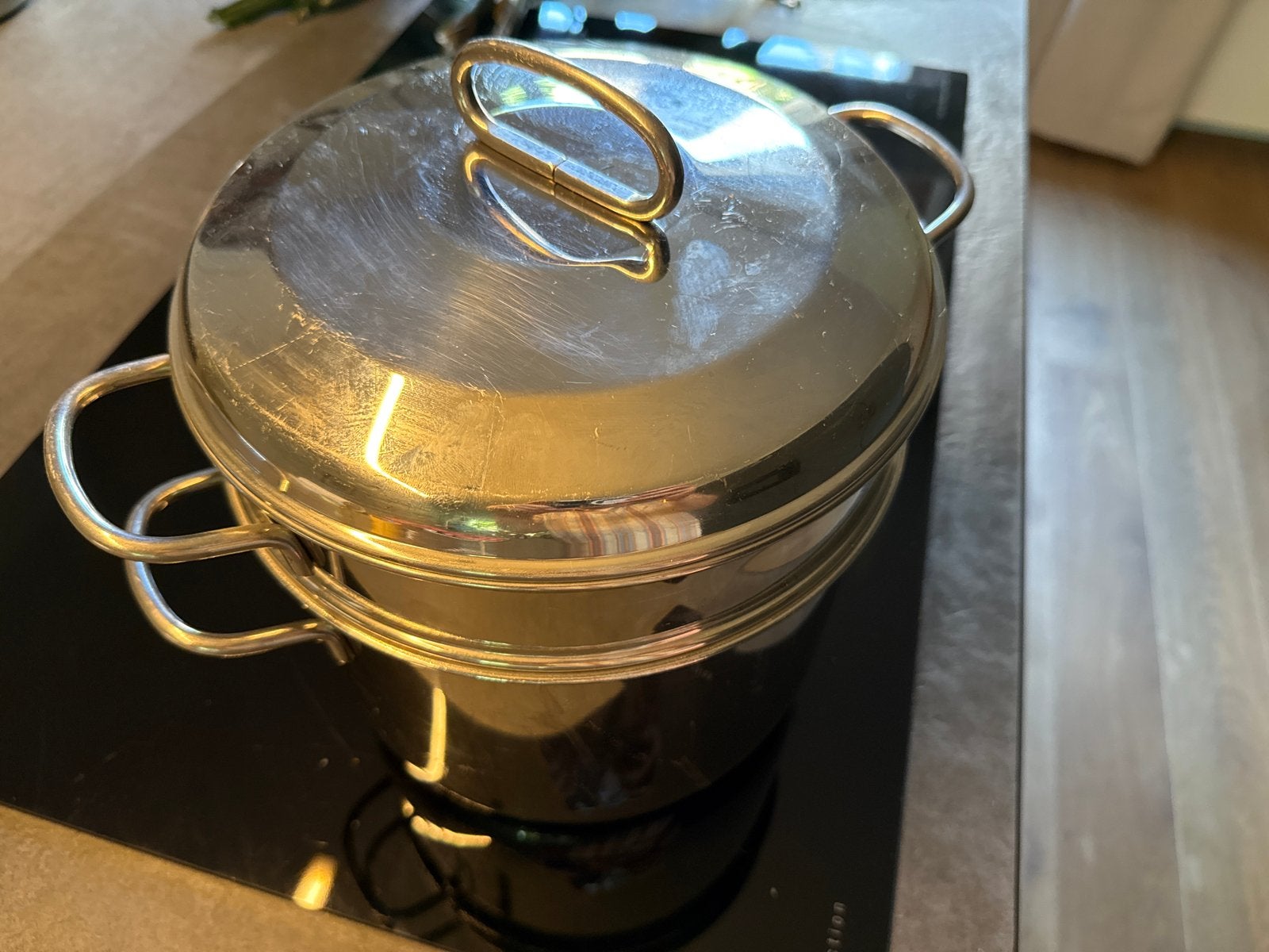 RVS stoompan met deksel, geschikt voor inductie, Ophalen, Gebruikt, Rvs, Kookpan