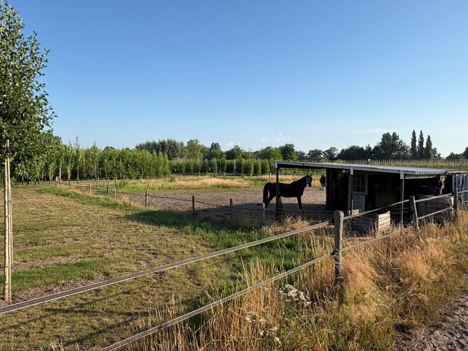 Wei met 2 inloopstallen,pensionstal,Boxtel,Esch,Haaren,Vught, Dieren en Toebehoren, Stalling en Weidegang
