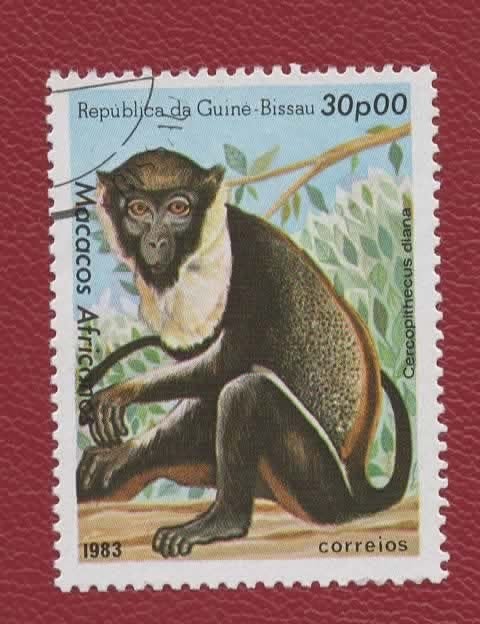 Fauna - Dieren - Apen - Guiné Bissau - 664 - gebr, Verzenden, Gestempeld, Dier of Natuur