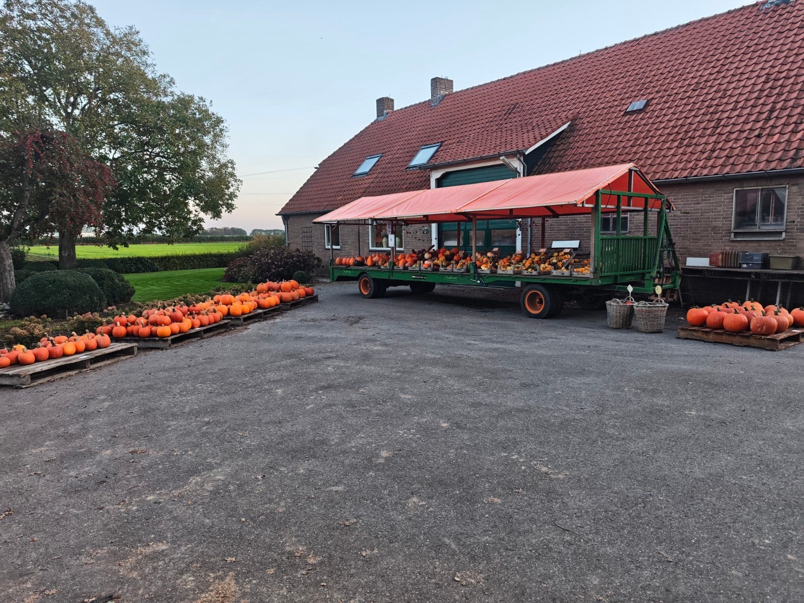 pompoenen en kalebassen, Ophalen, Nieuw