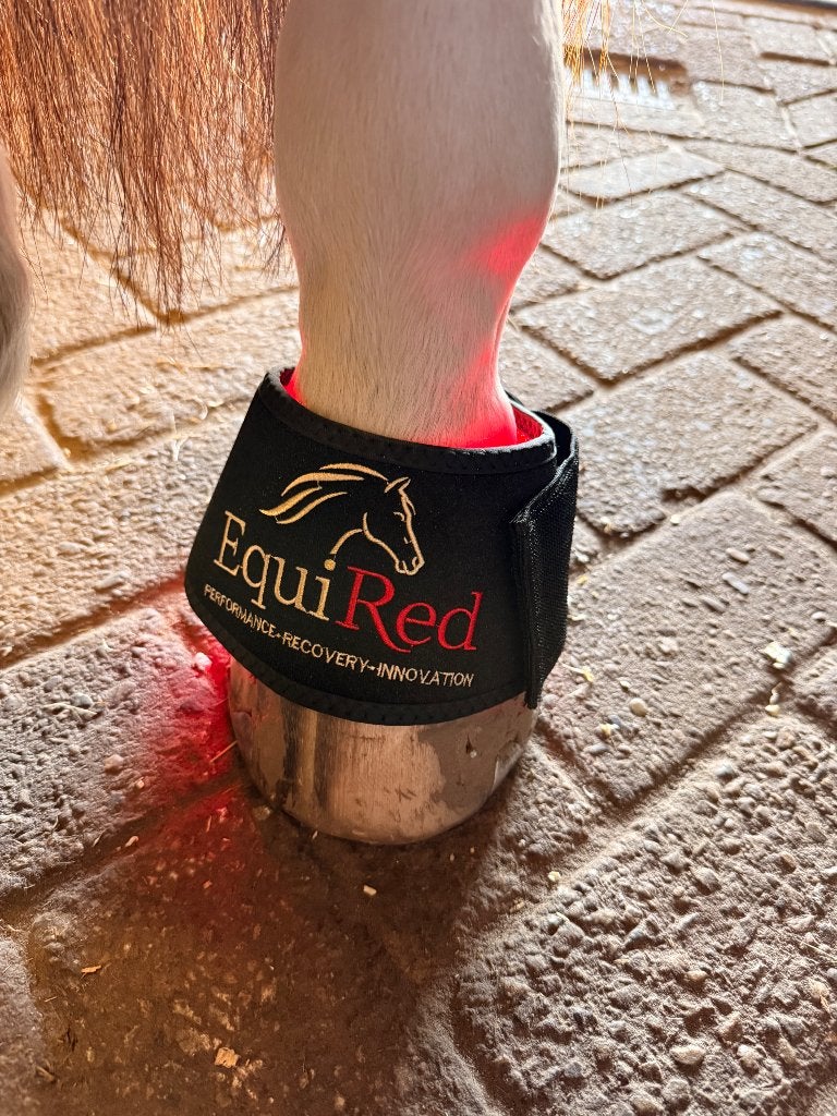 Paarden therapie, Therapeutisch, Overige typen, Ophalen of Verzenden, Nieuw