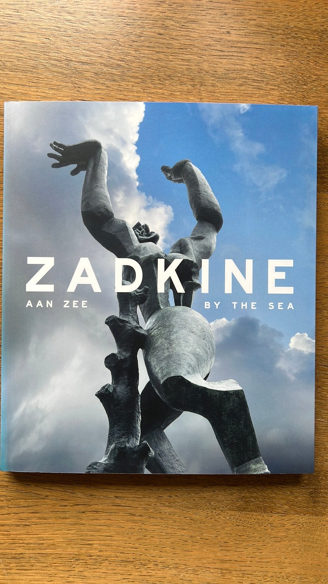 Zadkine aan zee, Ophalen of Verzenden, Zo goed als nieuw