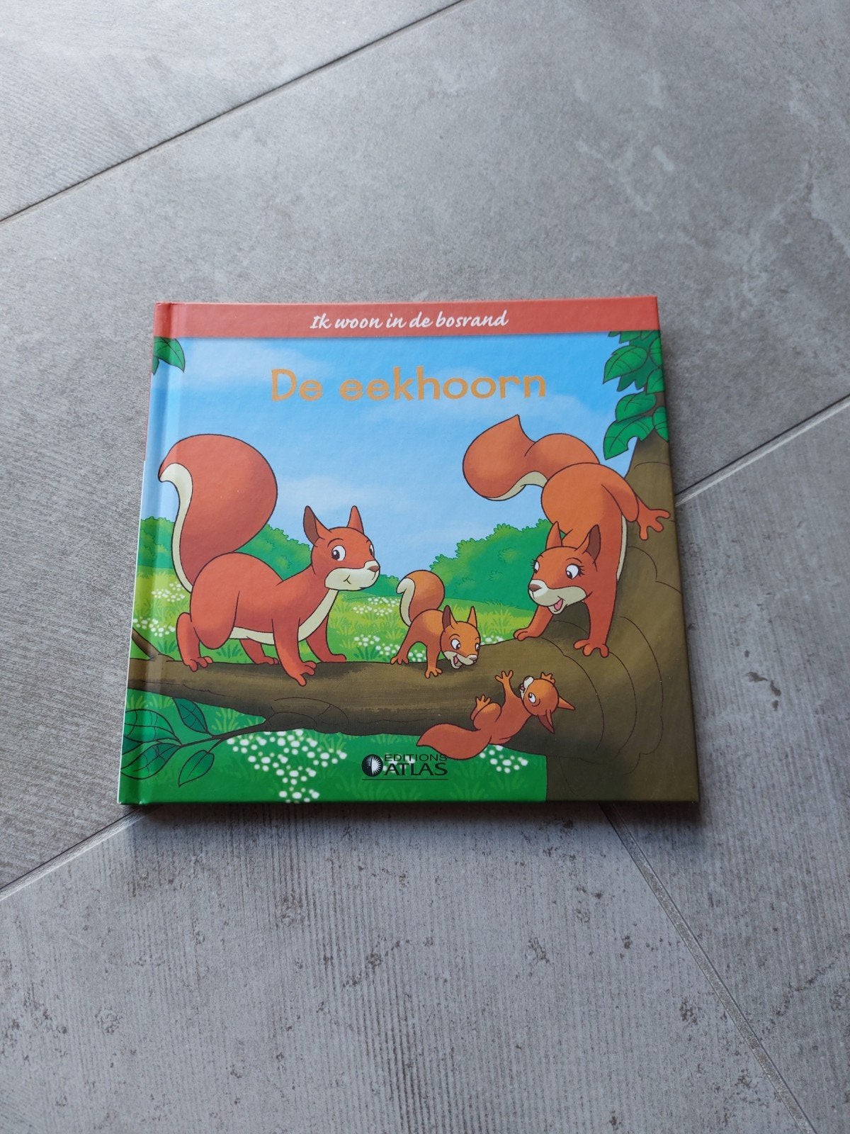 De eekhoorn, Gelezen, Jongen of Meisje, Ophalen of Verzenden, 5 of 6 jaar