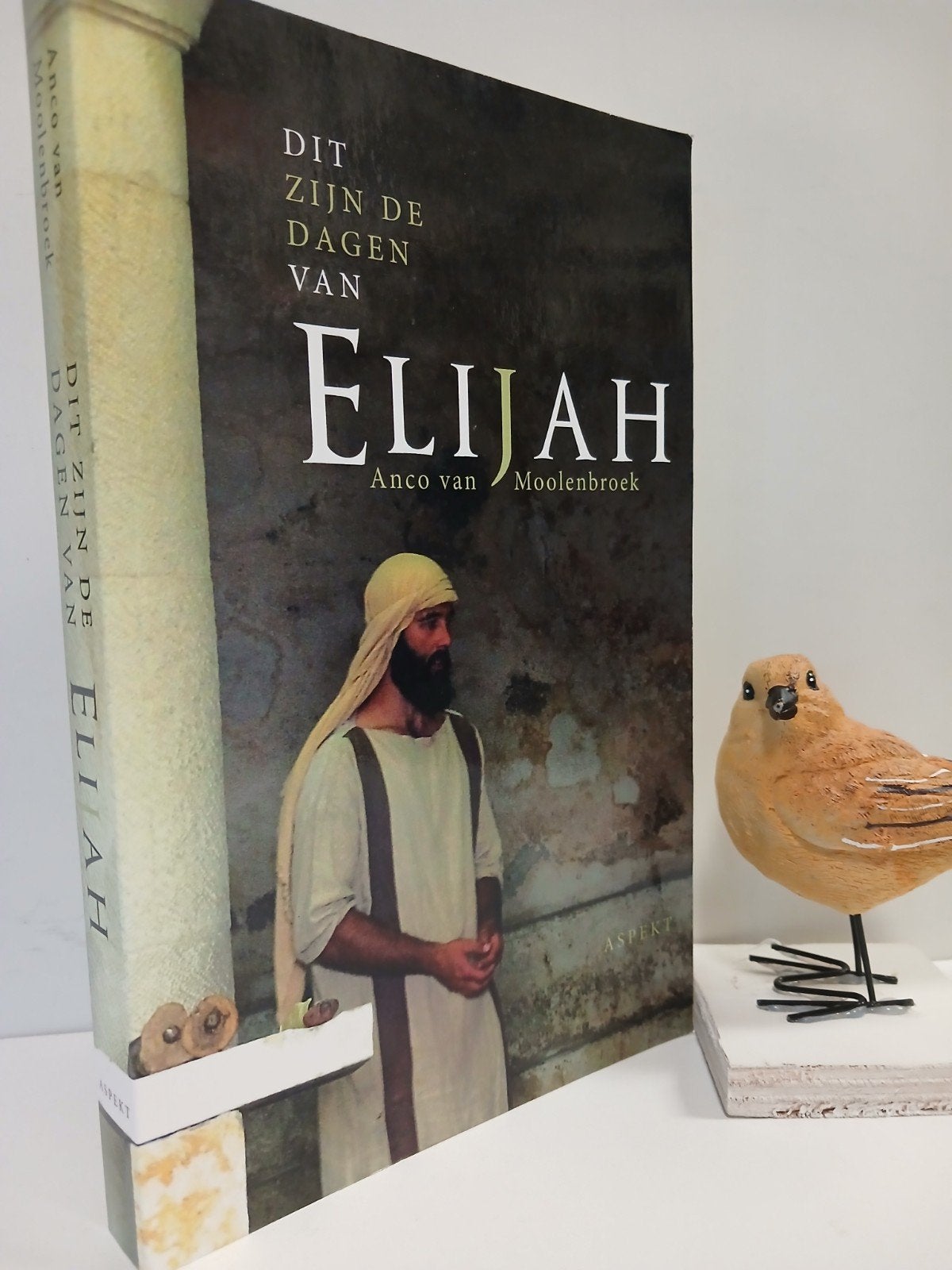 Moolenbroek, Anco van; Dit zijn de dagen van Elijah, Ophalen of Verzenden, Zo goed als nieuw, Christendom | Protestants
