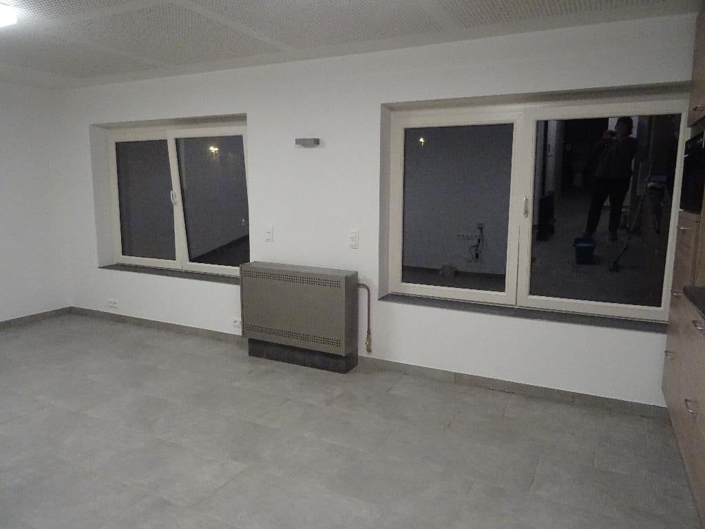 Wellstraler P 61, 7 kW, Inoxlook, Huis en Inrichting, Kachels, Gebruikt, Hangend, Gaskachel, Gas, Ophalen