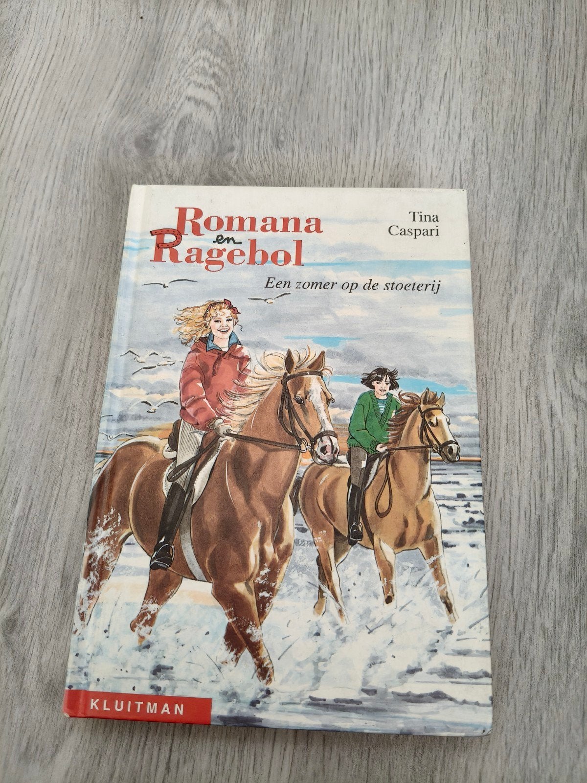 Romana en Ragebol: Een zomer op de stoeterij, Ophalen of Verzenden, Gelezen, Tina Caspari, Fictie