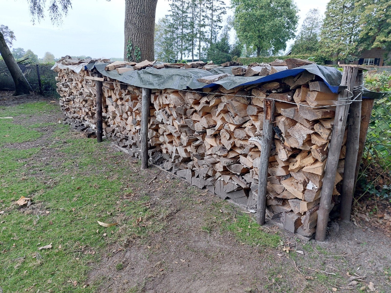 Droog berken haardhout, Minder dan 3 m³, Ophalen, Berkenhout, Blokken