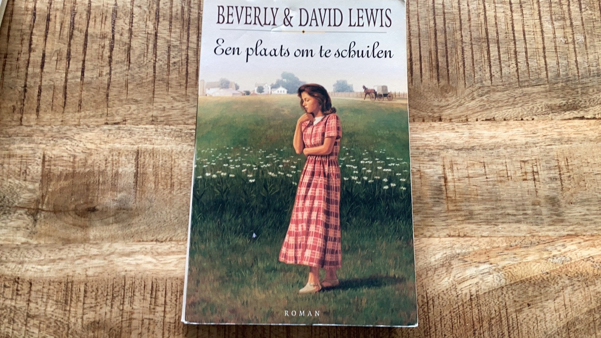 Damien Lewis - Een plaats om te schuilen, Ophalen of Verzenden, Gelezen, Damien Lewis; Beverly Lewis