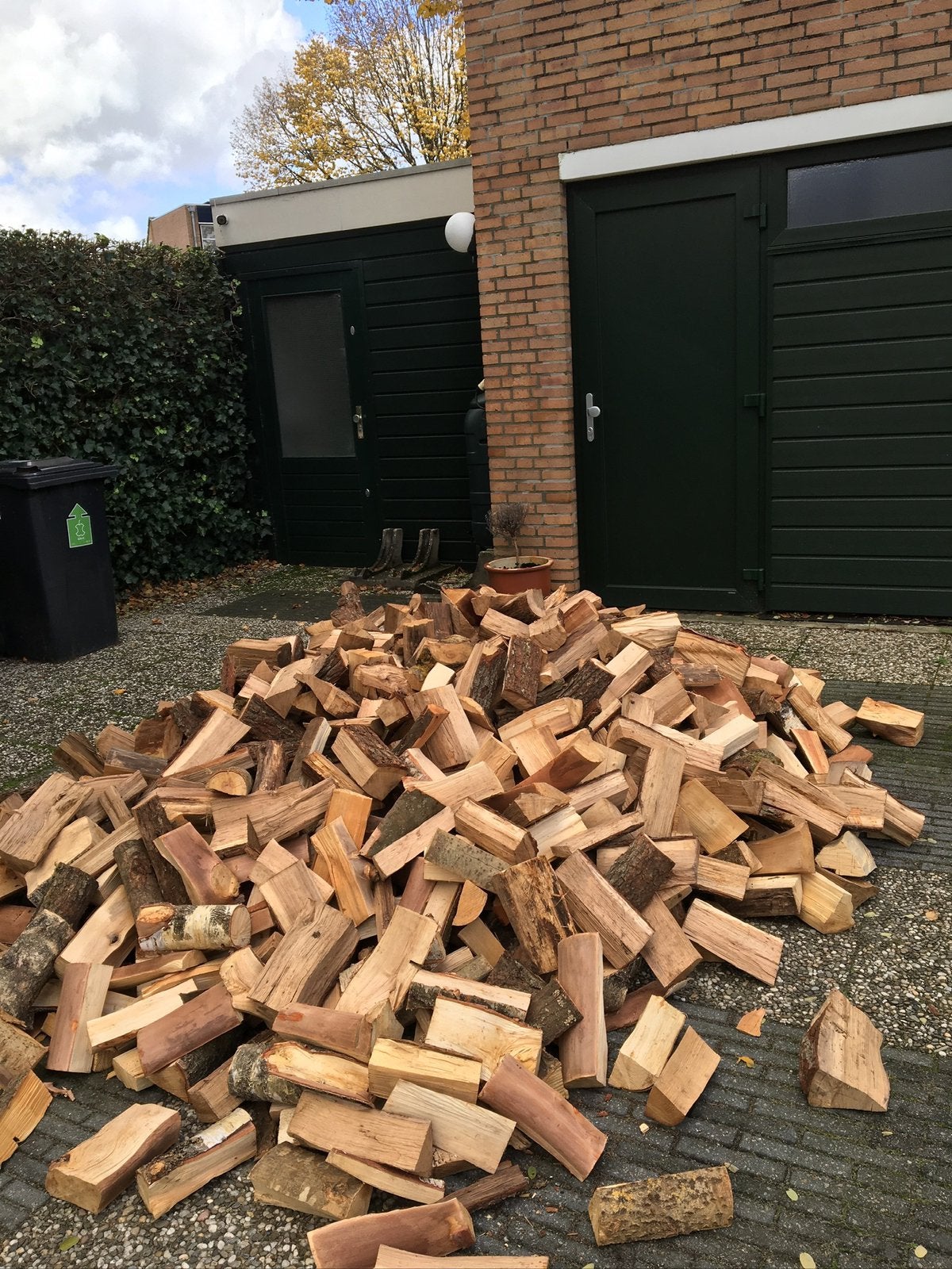 1,5 kuub losgestort beukenhout GRATIS BEZORGD 50km rond Amst, Ophalen of Verzenden, Beukenhout, Blokken