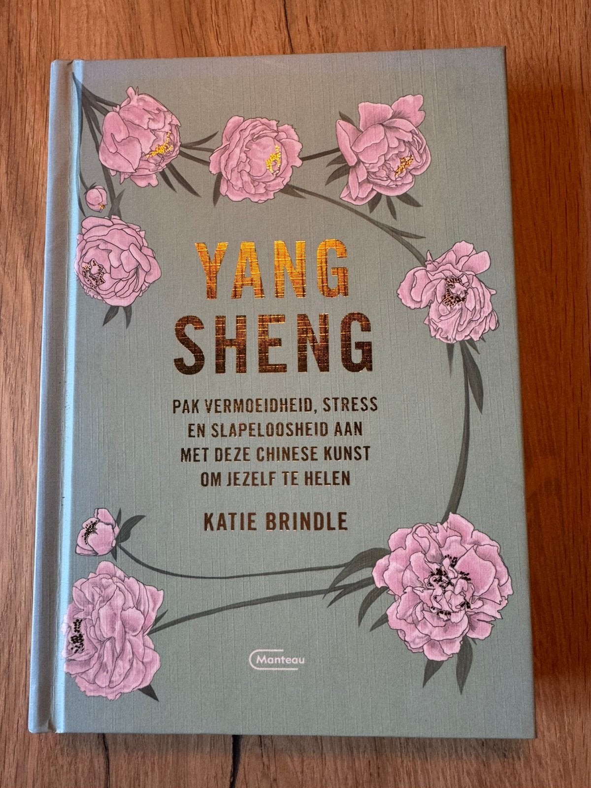 Katie Brindle - Yang Sheng, Ophalen of Verzenden, Zo goed als nieuw, Katie Brindle
