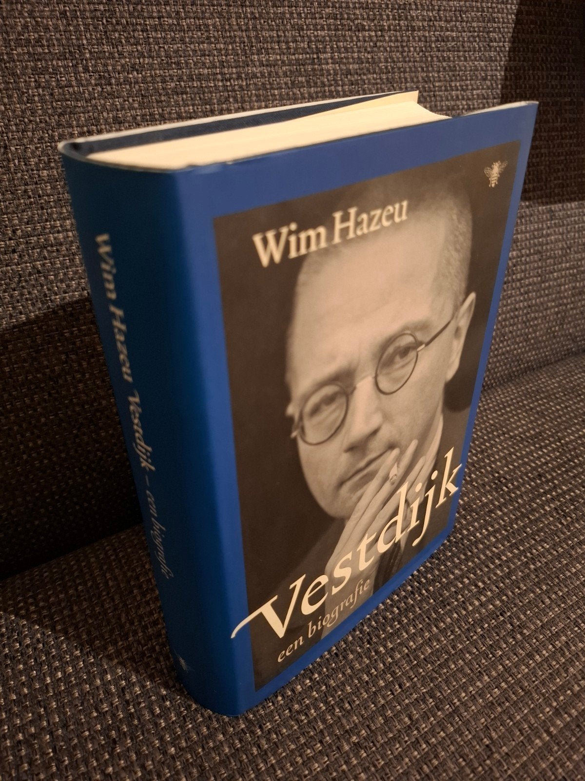 Wim Hazeu - Vestdijk: een biografie, Kunst en Cultuur, Nieuw, Ophalen of Verzenden, Wim Hazeu