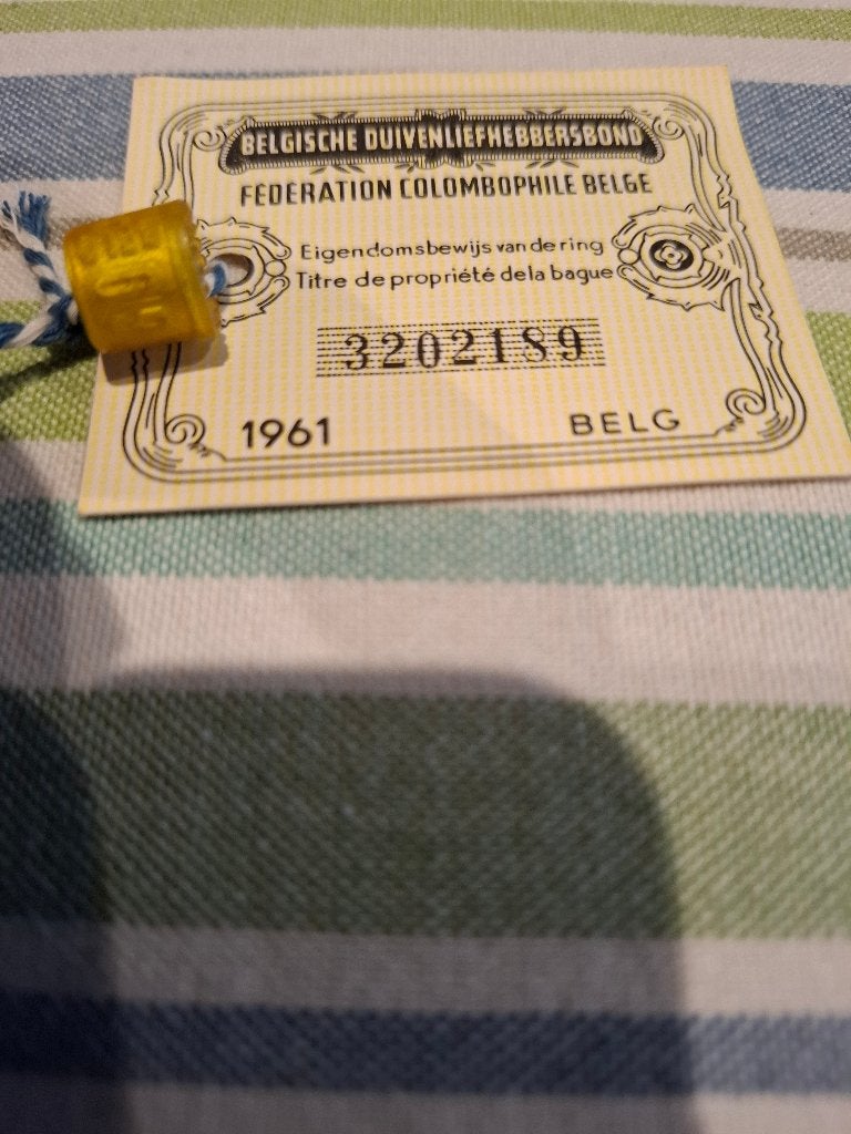 Ring 1961 belg, Mannelijk, Postduif