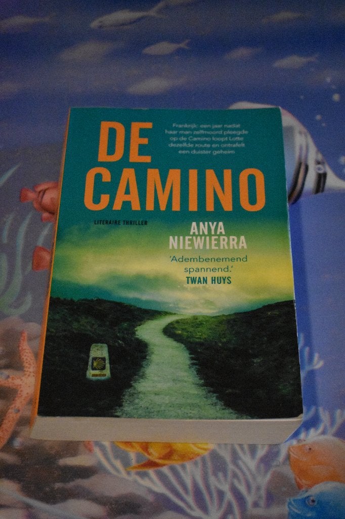 boek van Anya Niewierra/de camino, Ophalen of Verzenden, Zo goed als nieuw, Anya Niewierra