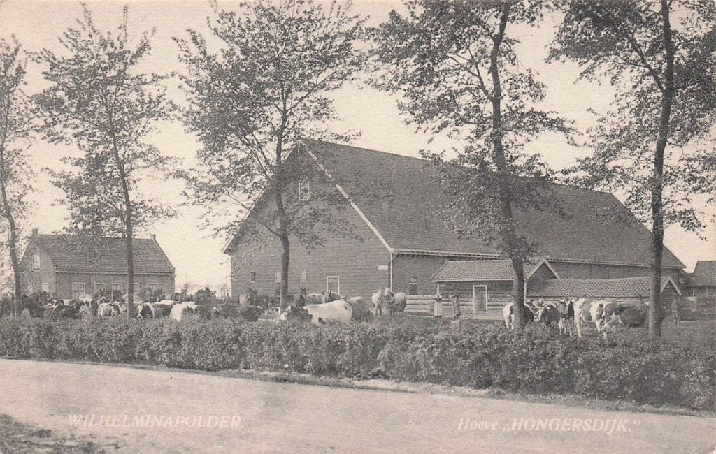 703-082-045 Wilhelminapolder Hoeve Hongersdijk, Verzenden, Voor 1920, Zeeland