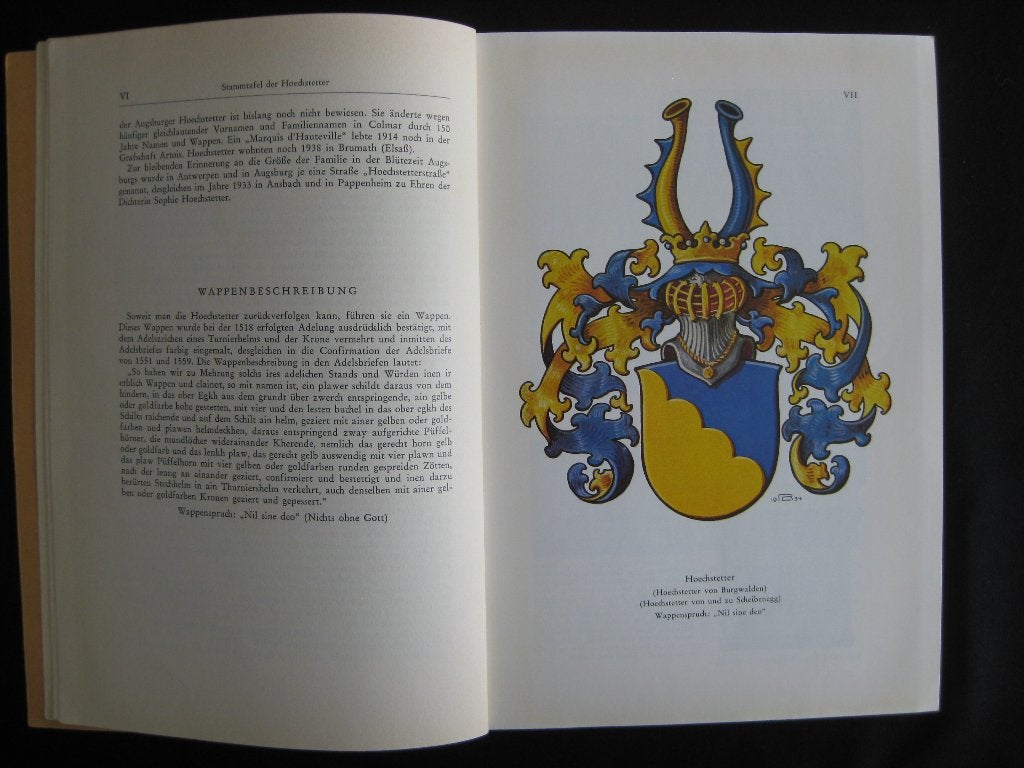 Genealogie: Stammtafel der Hoechstetter., Boeken, Ophalen of Verzenden, Gelezen, Europa