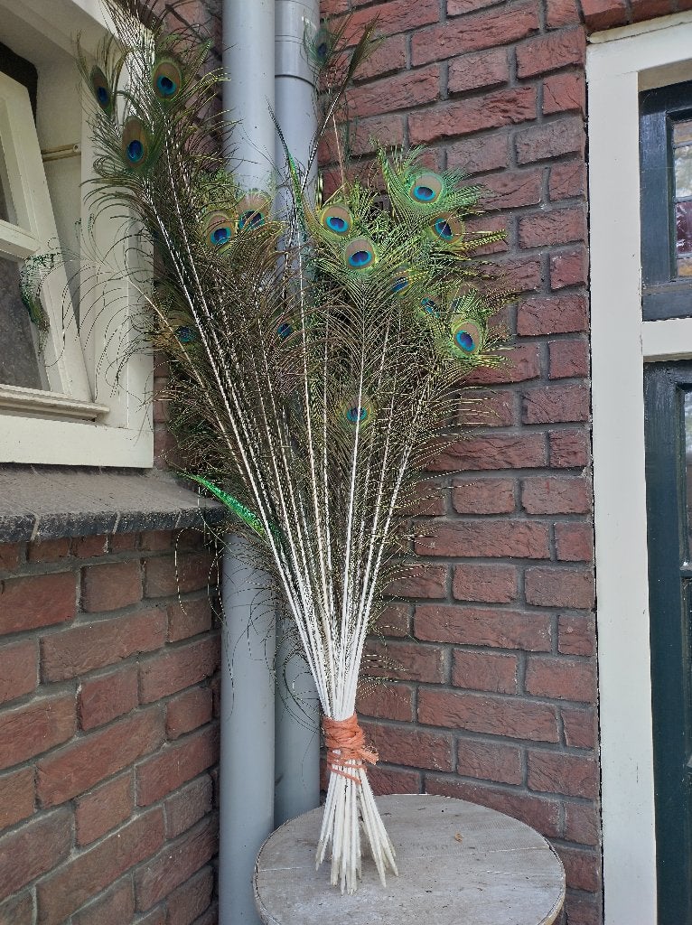 Pauwenveren, Ophalen, Zo goed als nieuw