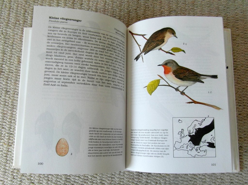 Zangvogels / Rebo natuurgids, Ophalen of Verzenden, Zo goed als nieuw, Vogels