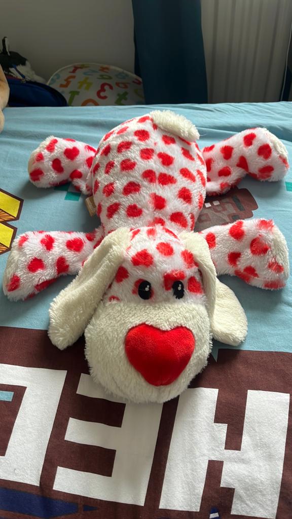Beeztees Knuffel Hond 'I Love You' met Geluid, Kinderen en Baby's, Speelgoed | Knuffels en Pluche, Ophalen, Overige merken, Met geluid