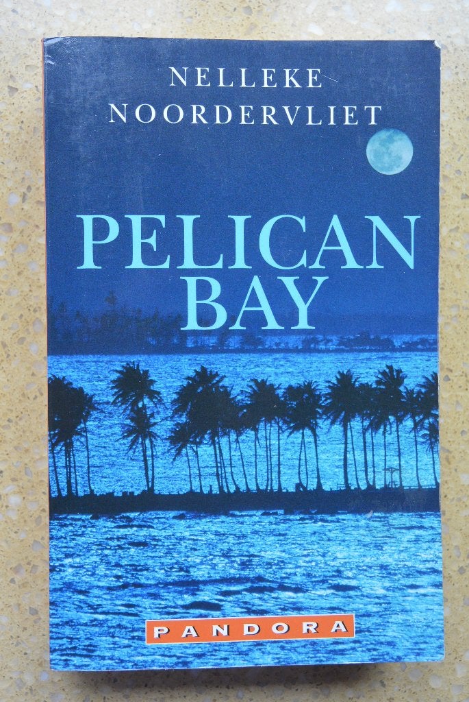 Pelican Bay - Nelleke Noordervliet - Roman - Nederlands, Boeken, Gelezen, Nederland, Nelleke Noordervliet, Ophalen of Verzenden
