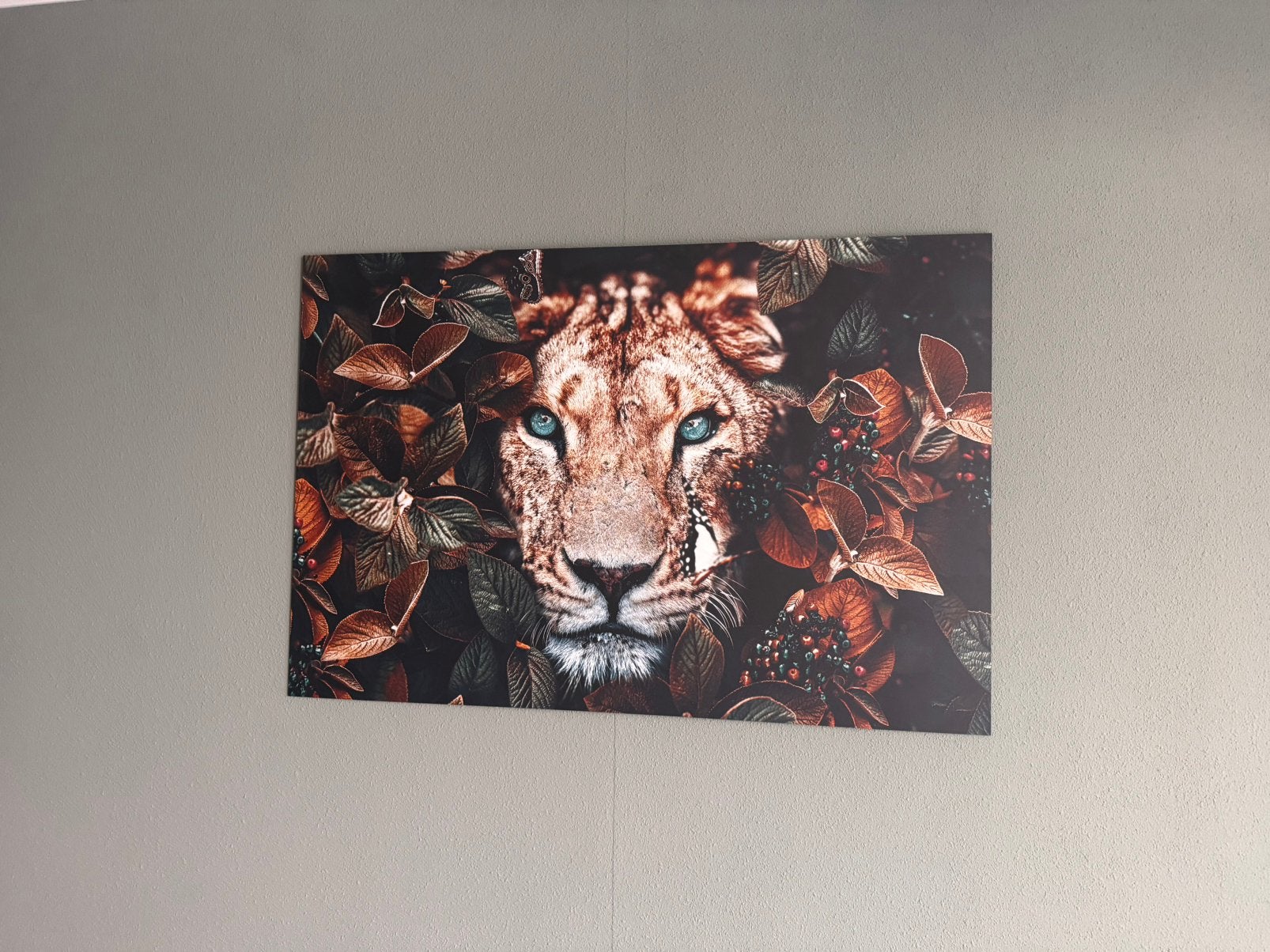 Leeuw schilderij materiaal dibond 80x120 cm, Antiek en Kunst, Ophalen of Verzenden