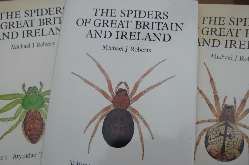 SPINNEN / THE SPIDERS OF GREAT BRITAIN AND IRELAND / Roberts, Spin of Schorpioen