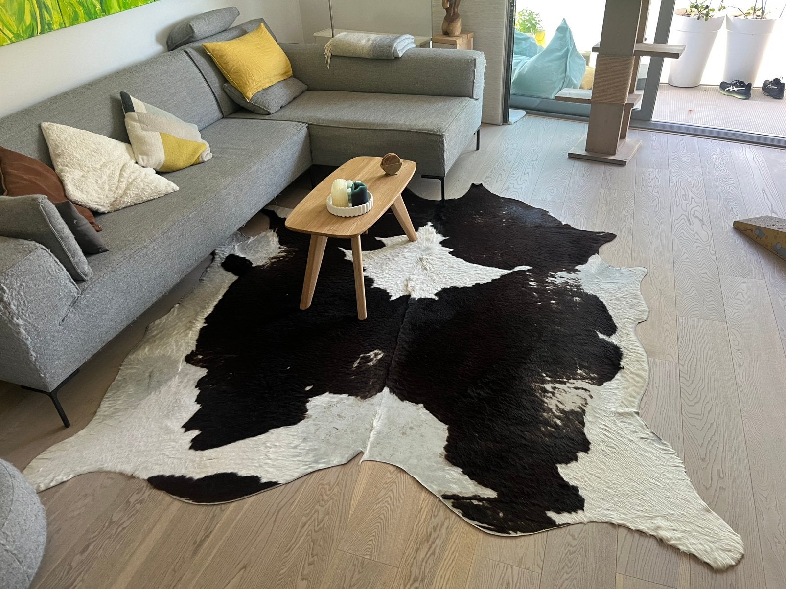 Koeienhuid vloerkleed, Ophalen, Gebruikt, Natuurproduct, 200 cm of meer