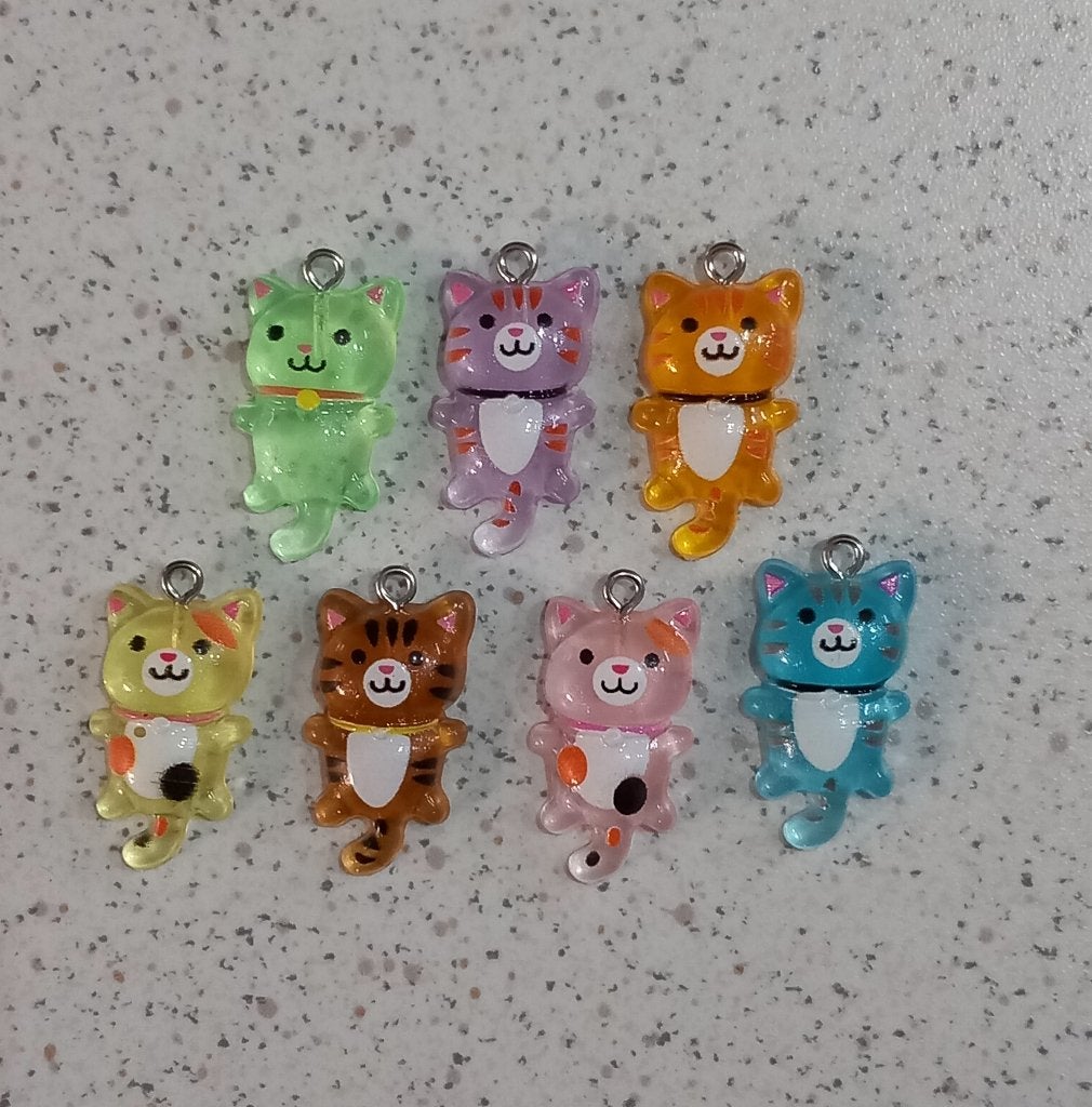 Katten (3) bedels, Ophalen of Verzenden, Nieuw, Bedel