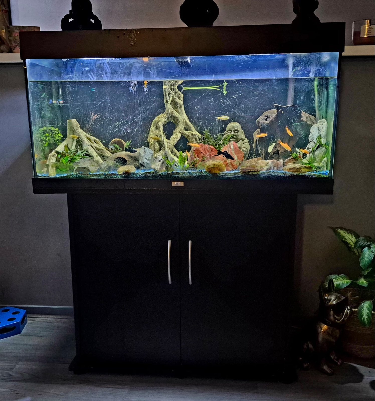 Juwel aquarium met meubel (lees beschrijving!), Ophalen, Gebruikt, Leeg aquarium, Inclusief toebehoren