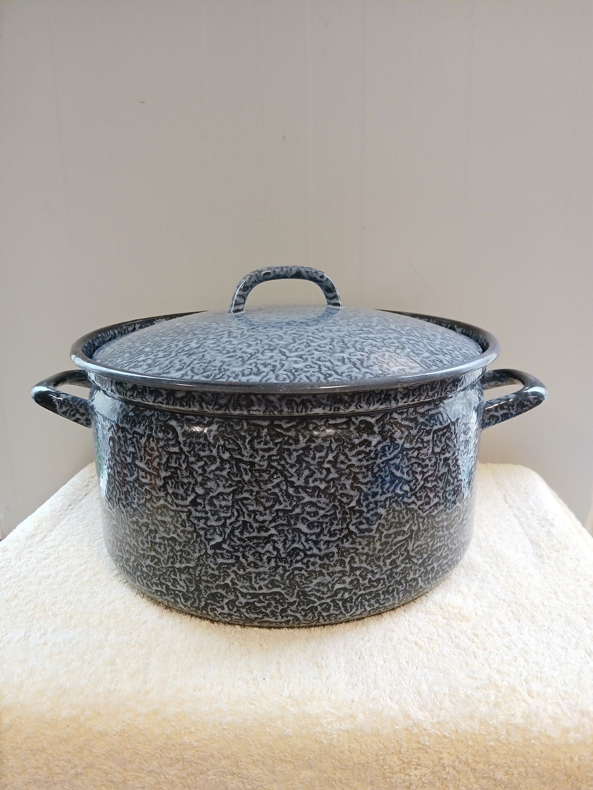 Vintage geëmailleerde pan met deksel - 30 cm diameter, Ophalen of Verzenden