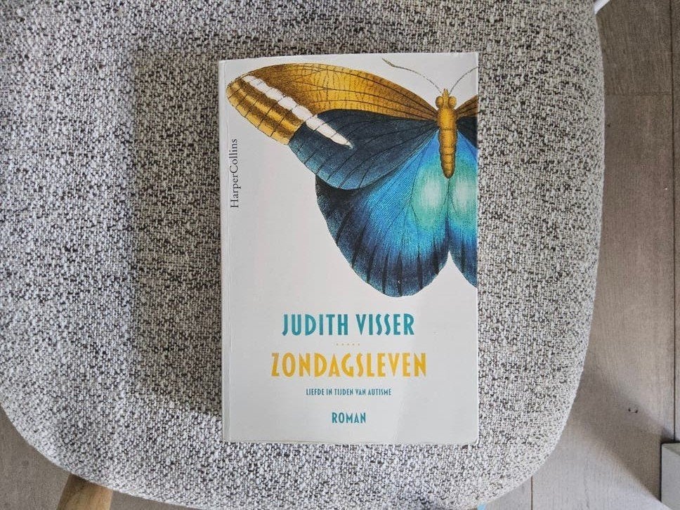 Zondagsleven - Judith Visser (Roman), Ophalen of Verzenden, Gelezen, Judith Visser, Nederland