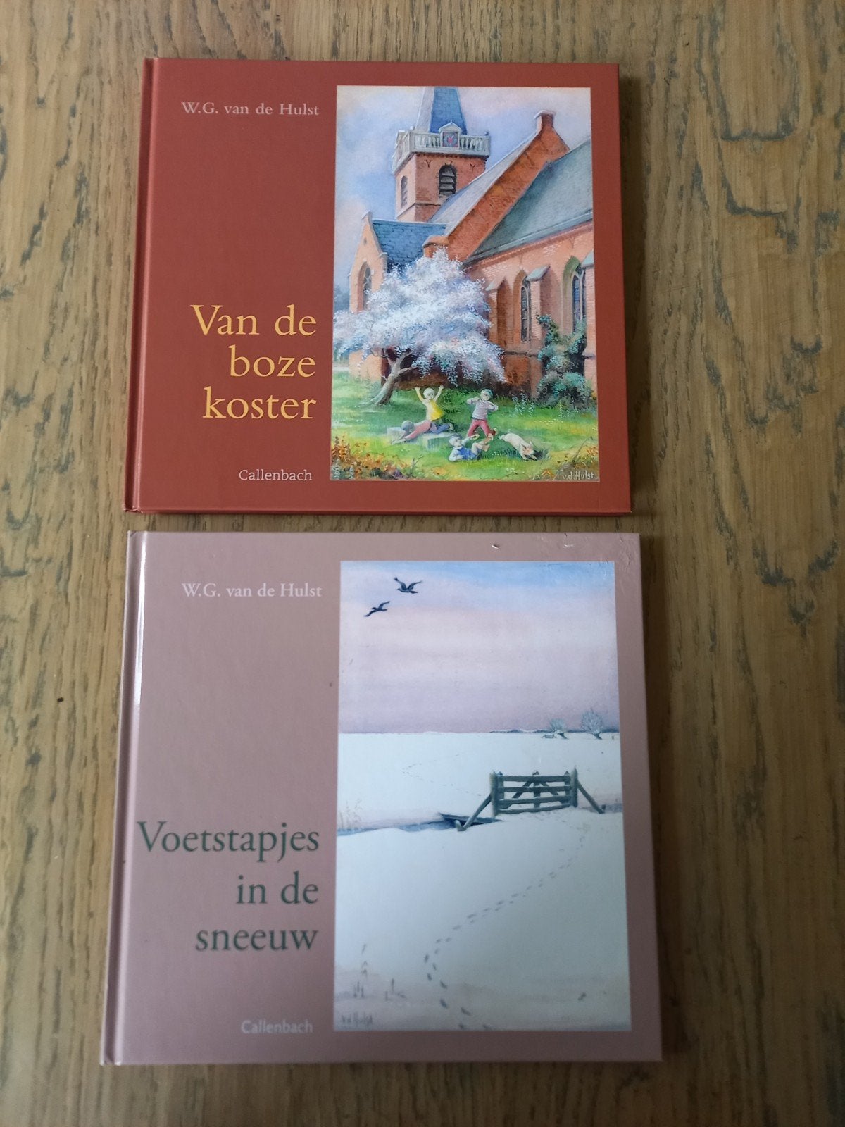 Boekjes W G van de Hulst, Ophalen of Verzenden, Zo goed als nieuw