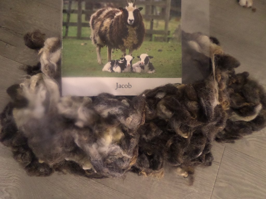 Jacob schapenwol gewassen zachte spinwol spinnen/vilten350gr, Ophalen of Verzenden, Nieuw, Spinwol