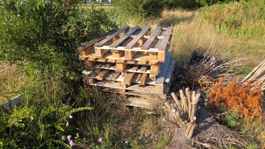 pallets, Ophalen, Gebruikt, 50 mm of meer, Pallet