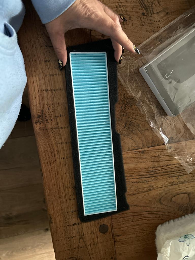 Luchtinlaatfilter Tesla Model 3 2021-2024, Ophalen of Verzenden, Nieuw, Overige automerken