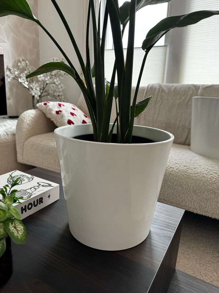 IKEA SOJABÖNA sierpot wit - Hoogte 25 cm, Ø 28 cm, Rond, Minder dan 40 cm, Aardewerk, Ophalen