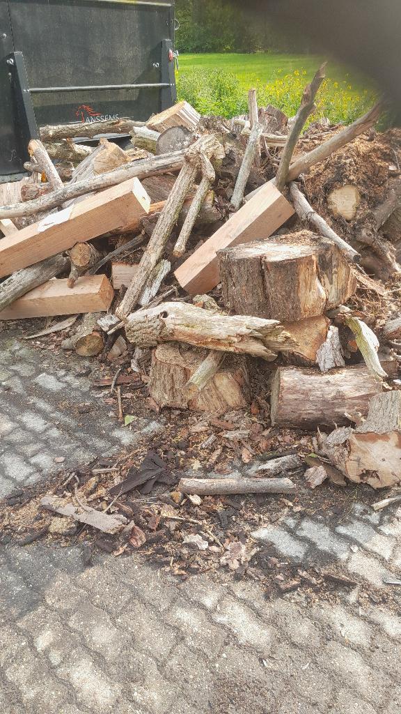 haardhout, 3 tot 6 m³, Ophalen, Overige houtsoorten, Stammen