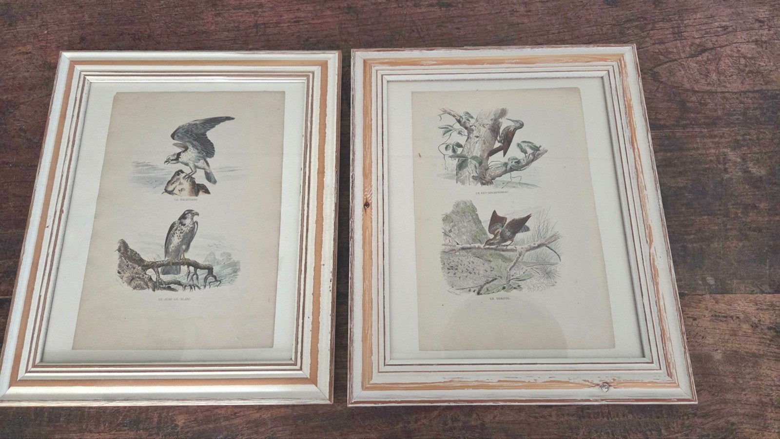 2 Gesigneerde en ingekleurde Franse tekeningen van vogels, Ophalen of Verzenden