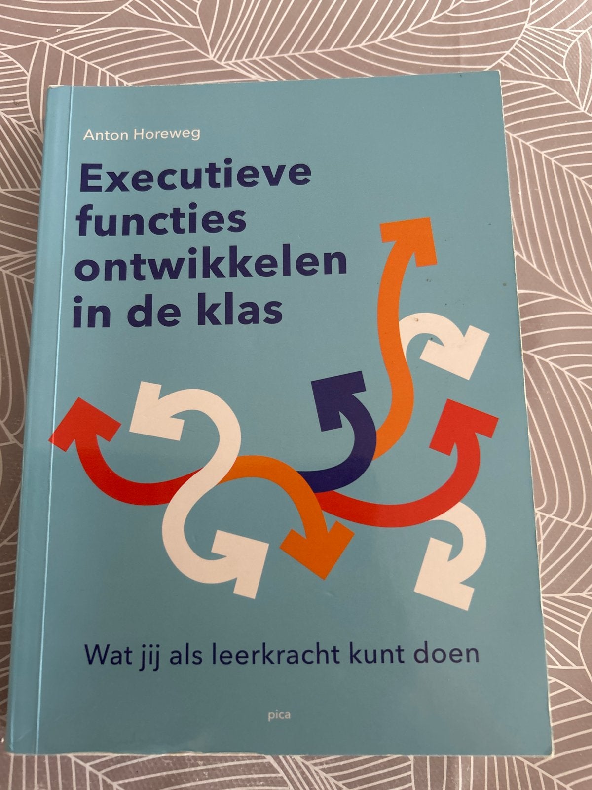 Executieve functies ontwikkelen in de klas, Ophalen of Verzenden, Gamma, Gelezen, Overige niveaus