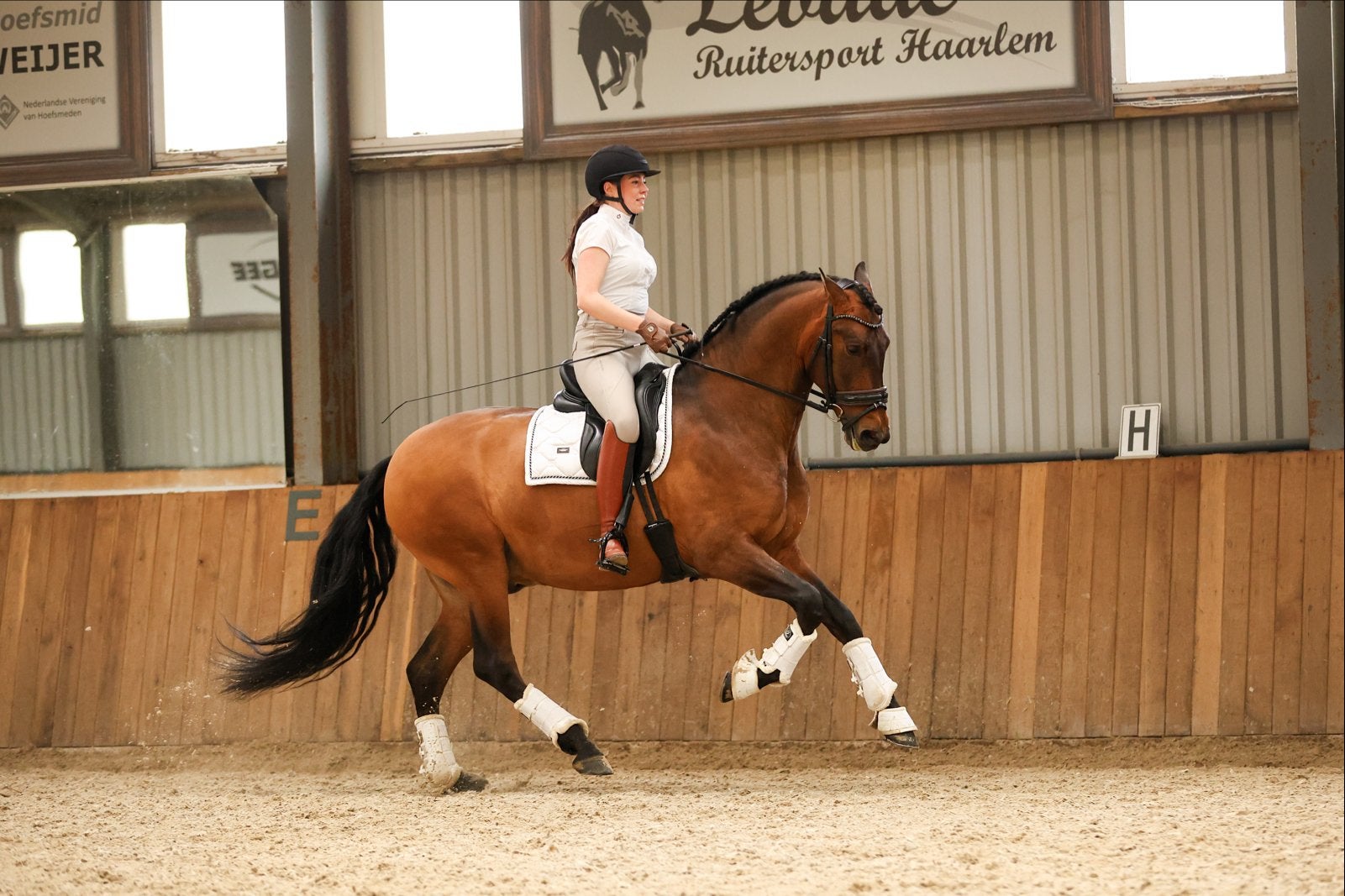 Exclusieve PRE Hengst – Deseado AG III 1.72, Dieren en Toebehoren, Ruin, Dressuurpaard