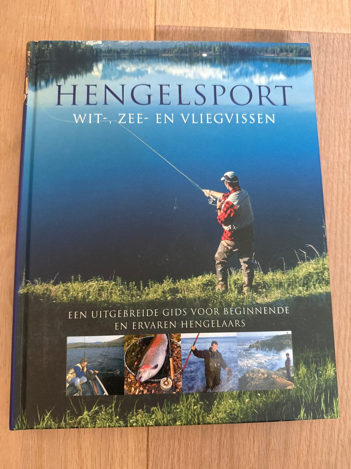 Hengelsport: Wit-, Zee- en Vliegvissen - Gids voor Hengelaar, Boeken, Ophalen of Verzenden, Zo goed als nieuw, Overige onderwerpen