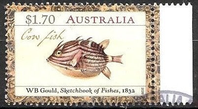 644 Australië 2026 WB Goulds Fishes met velrand, Verzenden, Gestempeld