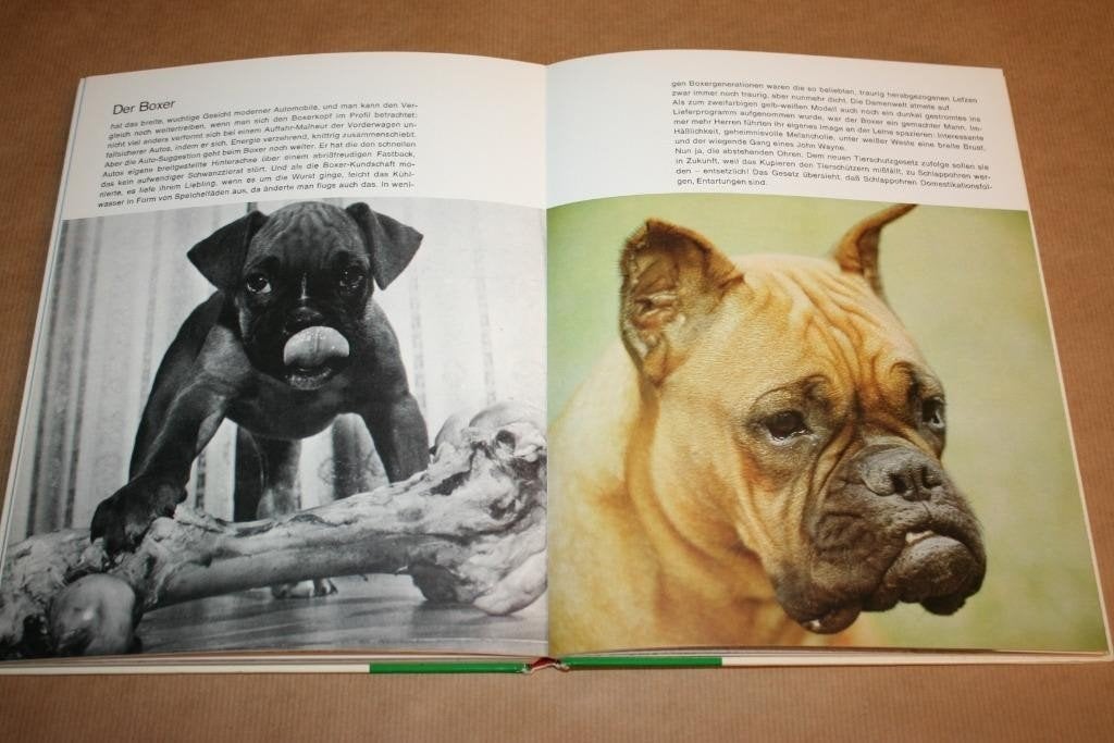 Sterns Bemerkungen über Hunde — Hondengedrag & Rassen, Boeken, Ophalen of Verzenden, Gelezen, Honden