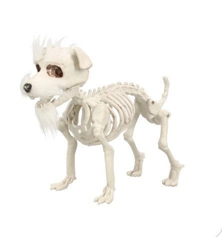 skelet hond met haar, Ophalen of Verzenden, Nieuw, Versiering, Halloween of Griezel