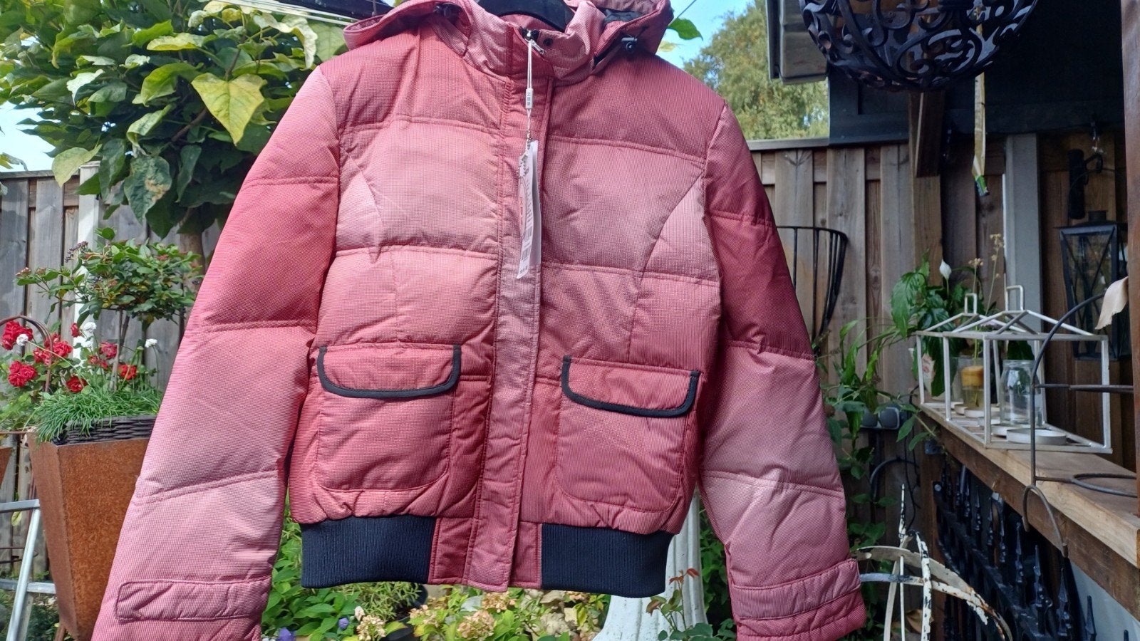 Nieuwe bomberjas met kaartje, Kleding | Dames, Jassen | Winter, Ophalen of Verzenden, Nieuw, Rood