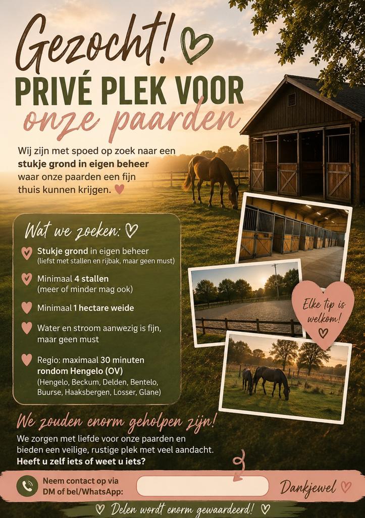 Plekje gezocht voor onze ponys, Dieren en Toebehoren, Stalling en Weidegang