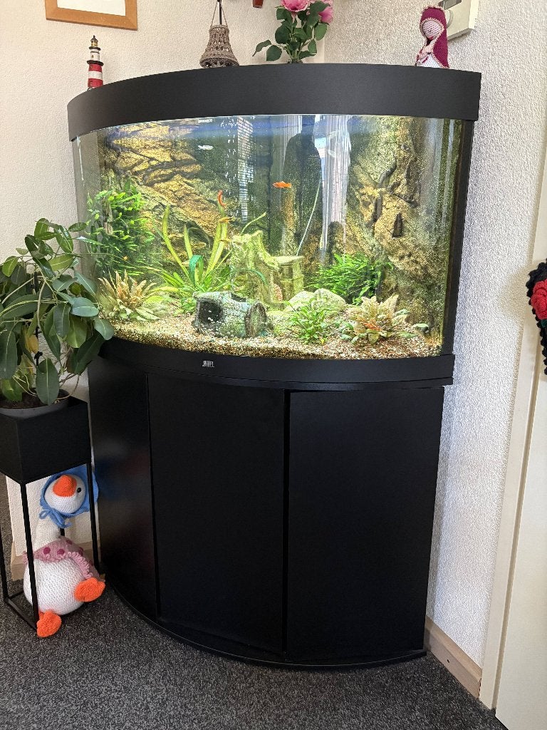 Compleet Juwel Aquarium met Gebogen Ruit & Zwart Ondermeubel, Ophalen, Gebruikt, Aquariummeubel, Juwel