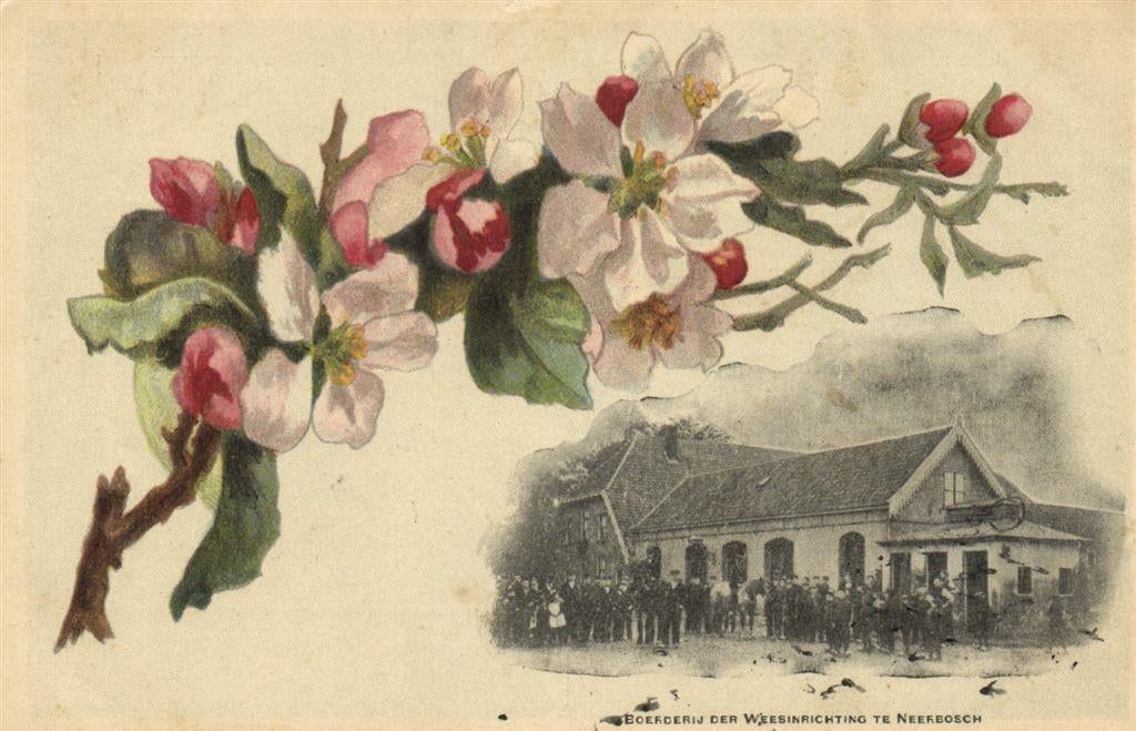 Boerderij der Weesinrichting te Neerbosch - ongelopen, Verzamelen, Ansichtkaarten | Nederland, Verzenden, Voor 1920, Ongelopen