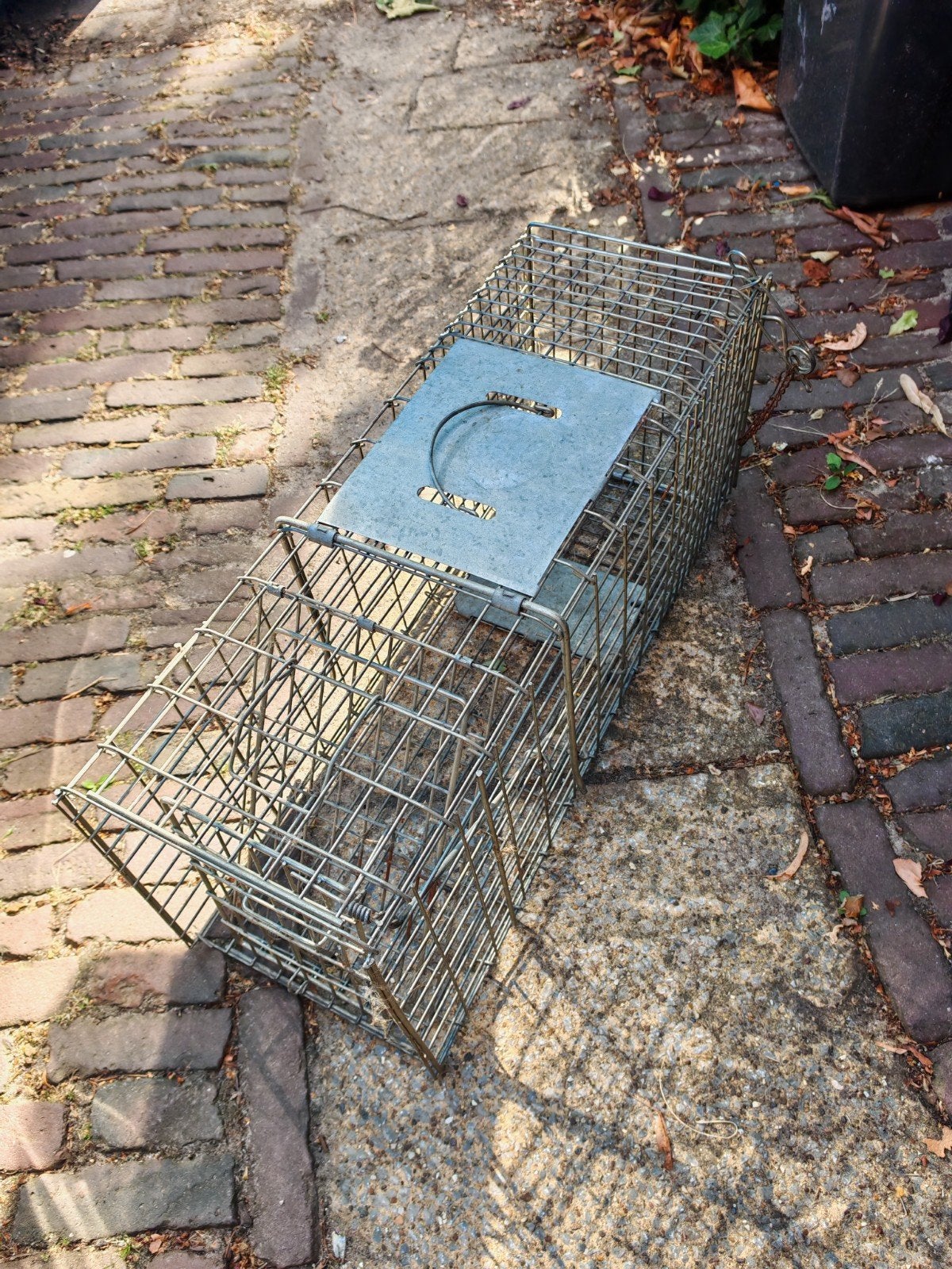ratten/kattenval gratis, Dieren en Toebehoren, Ophalen, Gebruikt